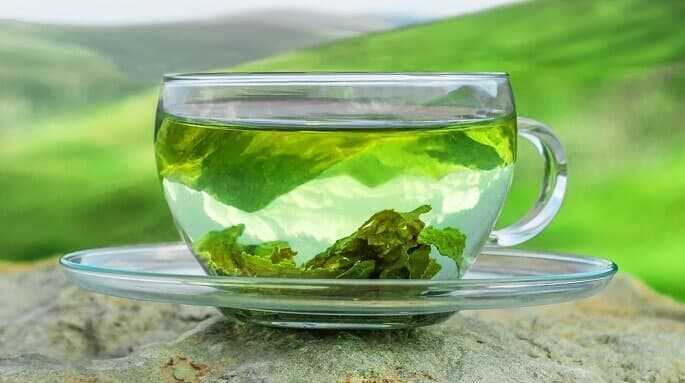 5 самых популярных сортов зеленого чая и их особенности