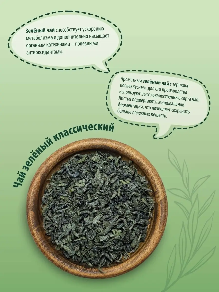 Белорусский зеленый чай: история и особенности производства