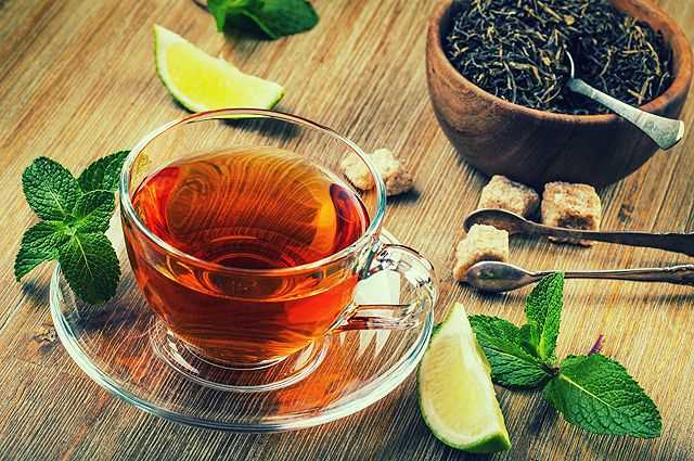 Чай для начинающих: основные виды и как выбрать подходящий для вас