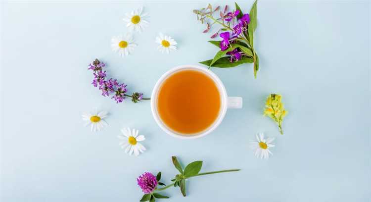 Что такое травяные чаи и какие они бывают: полезные свойства и способы употребления