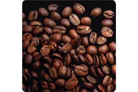Развитие кофейной индустрии в США