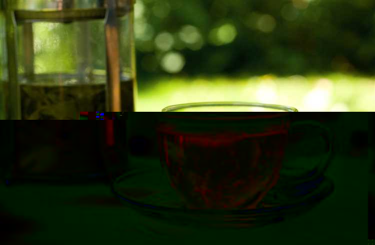 Как правильно заварить зеленый чай: секреты и рекомендации