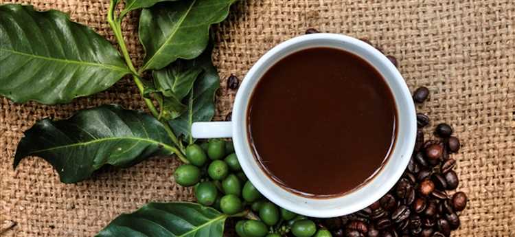 Кофе и проблемы с пищеварением: советы по выбору кофе для чувствительных желудков