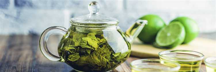 Мифы и правда о зеленом чае: полезные свойства и факты
