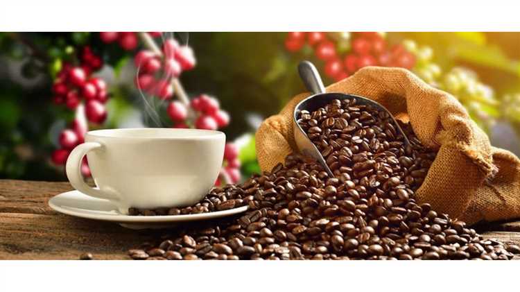 Тайны арабики: выбор идеального кофе для истинных гурманов