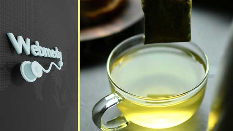 Полезные свойства зеленого чая для организма: от поддержания пищеварения до повышения энергии