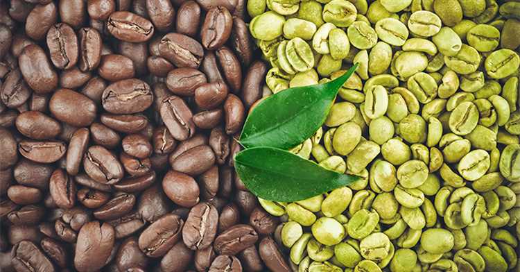 Полезные свойства зеленого кофе: факты и исследования