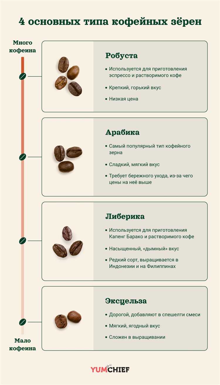 Список самых популярных видов кофе и их характеристики