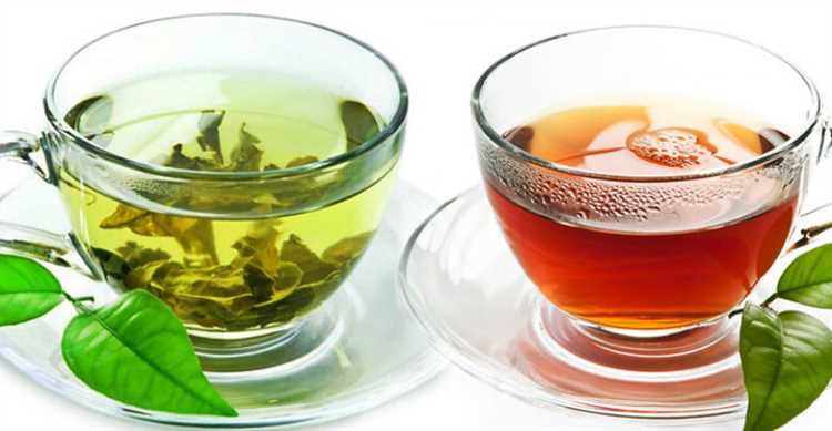 Сравнение различных сортов зеленого чая: отличия и особенности
