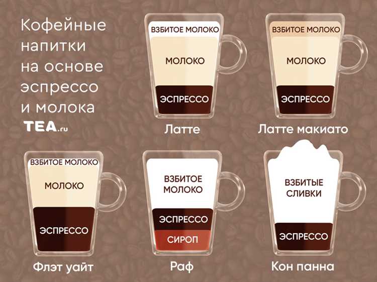 Сравнение разных видов кофе: как выбрать лучший вариант для себя
