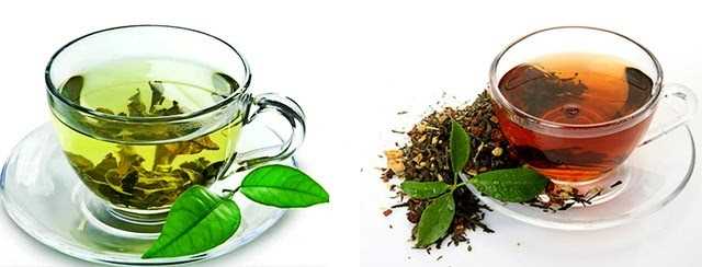 Сравнение зеленого чая и черного чая: отличия во вкусе, аромате и свойствах