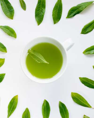 Топ 10 самых популярных сортов зеленого чая: обзор и рекомендации