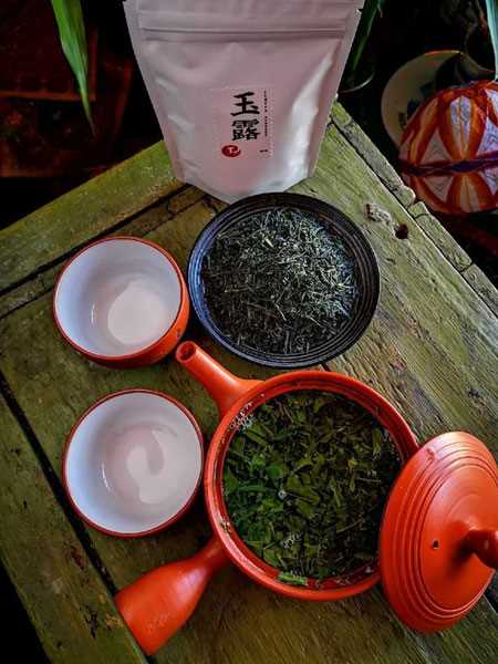 Традиционные японские сорта зеленого чая и их особенности