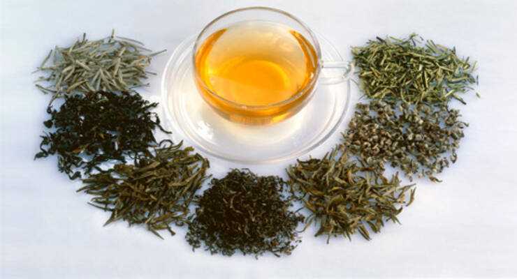 История высокогорных сортов зеленого чая
