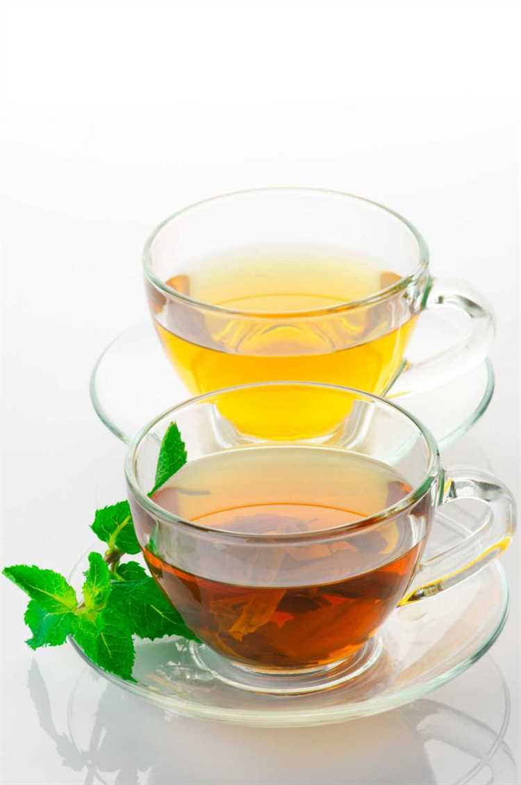 Все о сортах зеленого чая: отличия и особенности