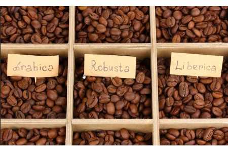 Разновидности кофе и их особенности: