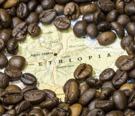 История кофе в Эфиопии