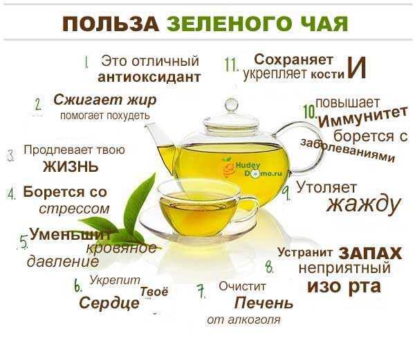 Разнообразие сортов зеленого чая для детей