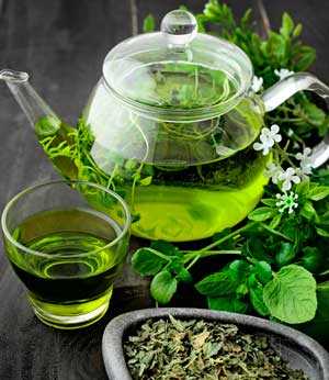 Зеленый чай: его польза для здоровья и организма