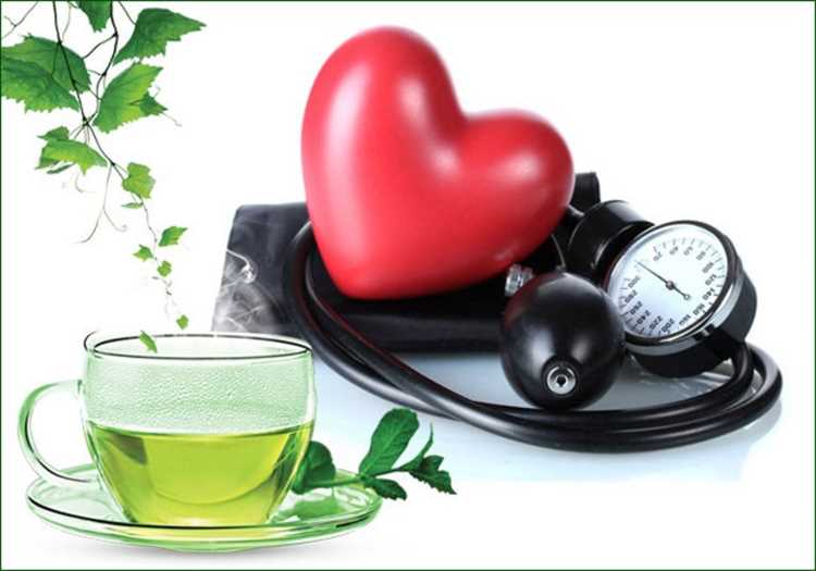 Частота употребления зеленого чая и его воздействие на сердце