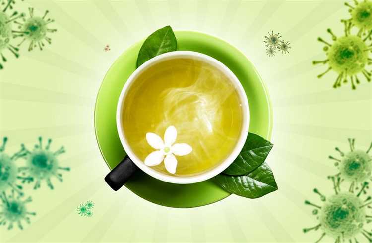 Зеленый чай и его противовирусные свойства: актуальные научные данные