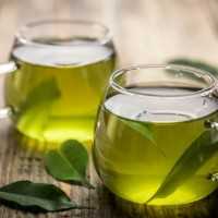 Роль зеленого чая в профилактике рака