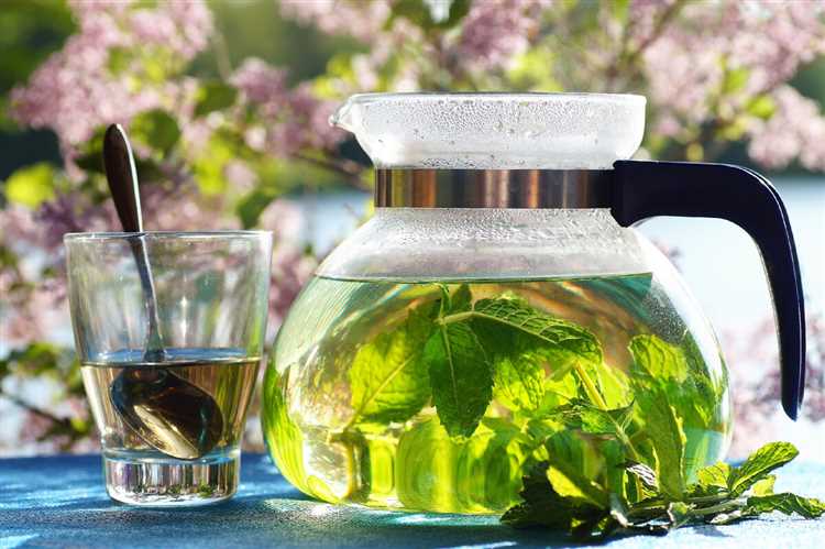 Зеленый чай и его роль в процессе улучшения здоровья позвоночника