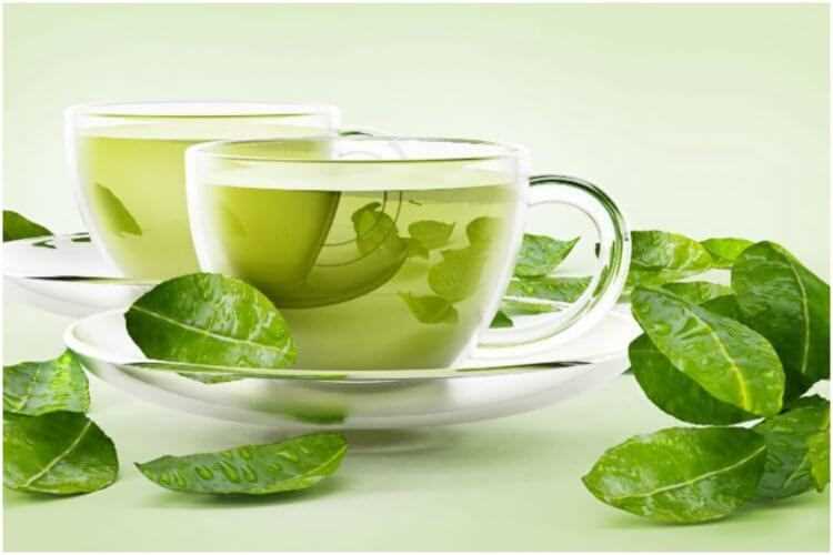 Зеленый чай и его важная роль в профилактике деменции и заболеваний старческого возраста