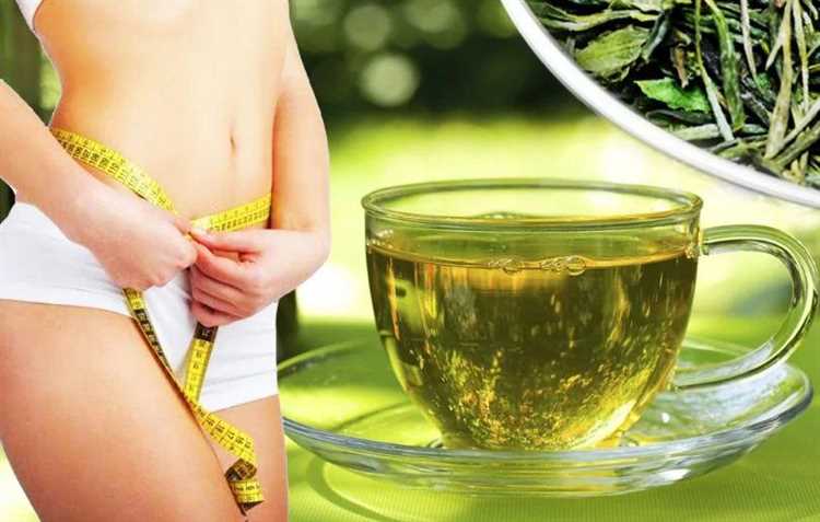 Зеленый чай и его влияние на обмен веществ: как важно его употреблять при похудении