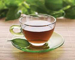 Рекомендации по употреблению зеленого чая для поддержания здоровья