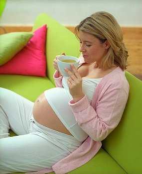 Зеленый чай: особенности его применения при беременности и грудном вскармливании