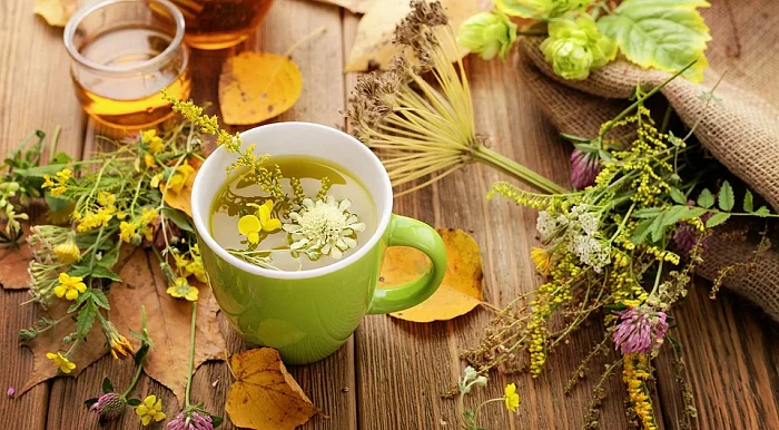 Зеленый чай: польза для желудочно-кишечного тракта и облегчение пищеварения