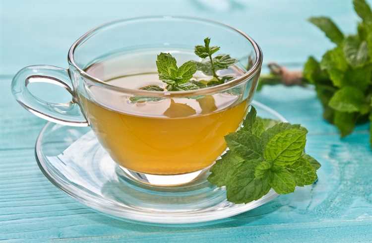 Зеленый чай с мятой: преимущества и рецепты приготовления