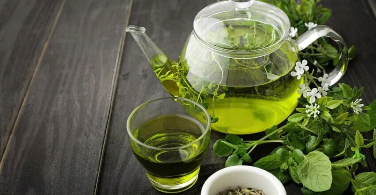 Почему зеленый чай помогает победить вредные привычки?