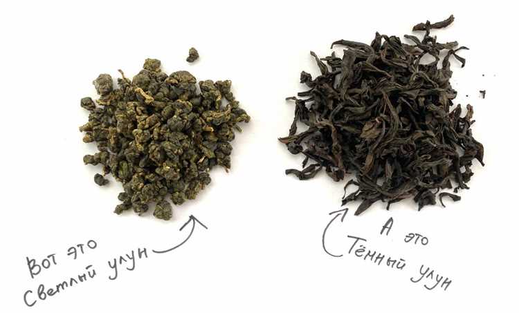 Золотые правила выбора улун чая: как отличить качественный продукт